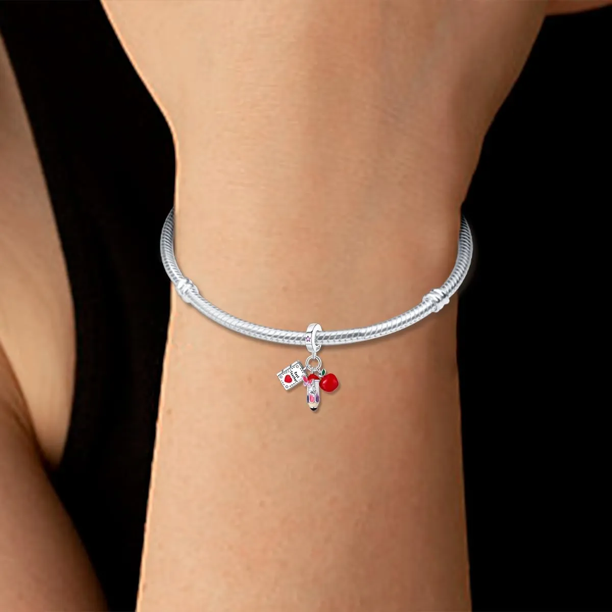 LIGHTDOG 925 Sterling Silver Charm fits Pandora Charm Bracelet Necklaces Pendant Bead Charms Jewelry Gift for Women Family Friends