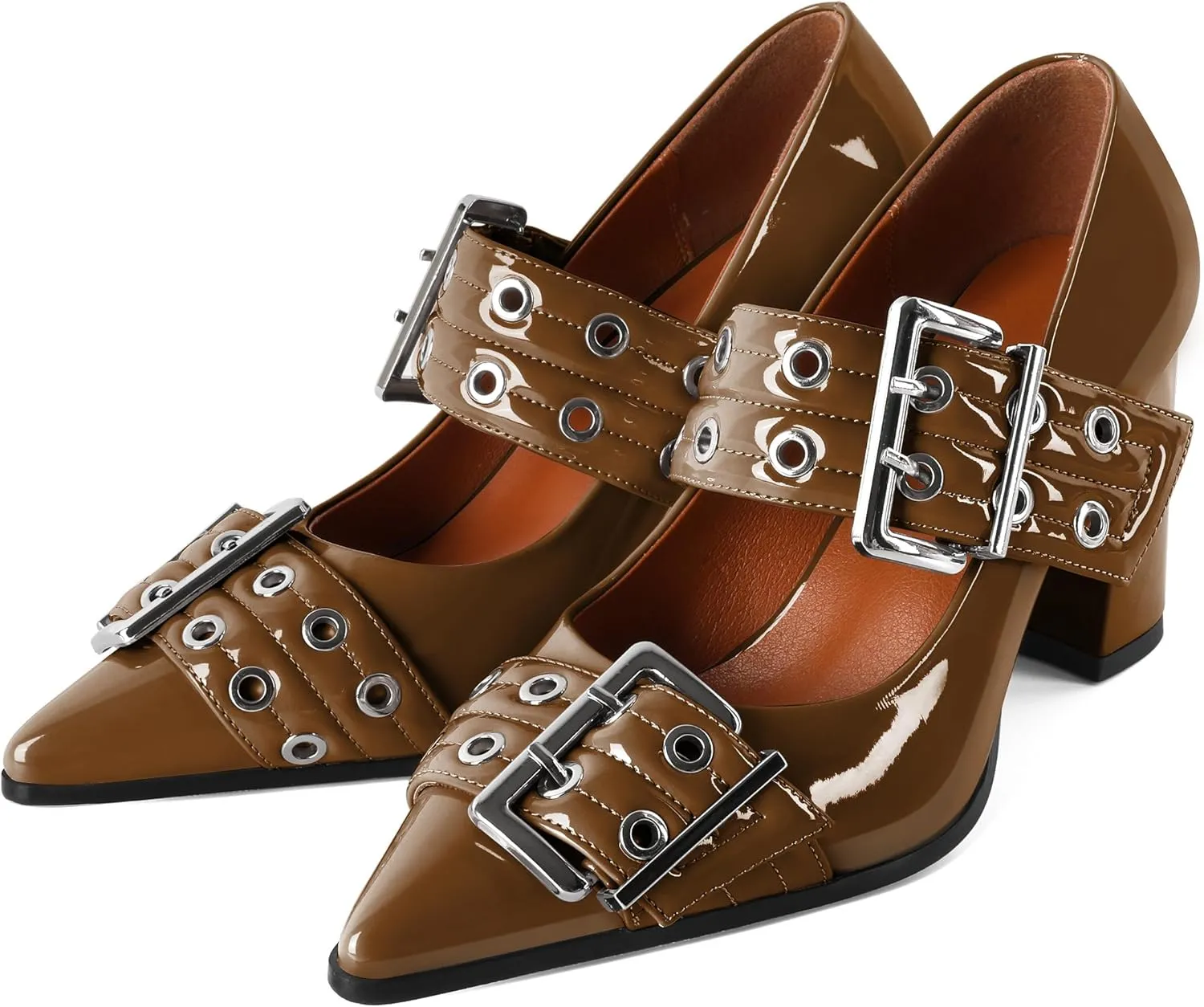 Zamikoo Buckle Shoes for Women Mary Jane Closed Pointed Toe Slip On Chunky Block High Heel Pumps